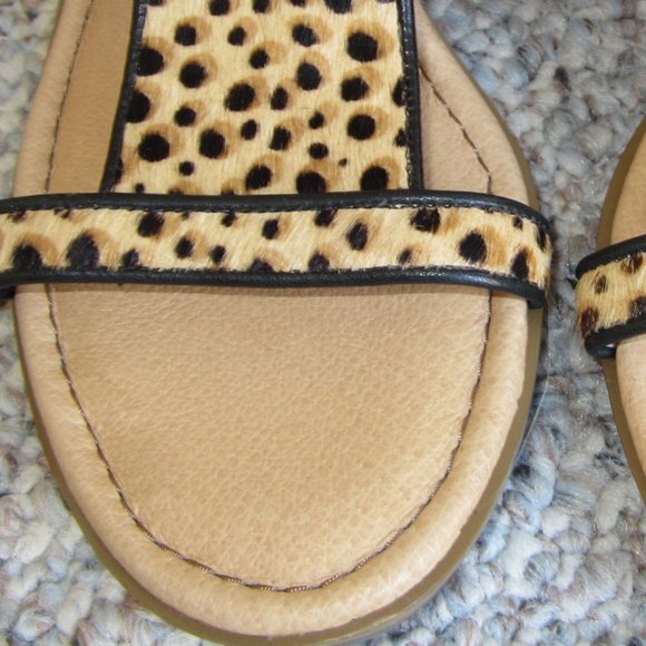 Dr. Scholl's Jacobs Cheetah Wedge - Picture 6 of 11